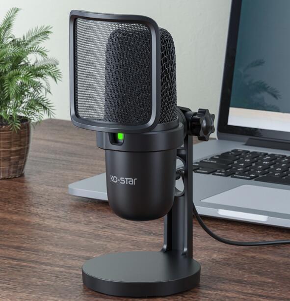 Notebook Computer Game Voice Live Broadcast Desktop USB Wired Microphone - ManunedStore