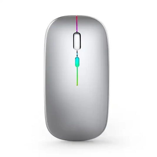 Mouse Ergonomico Ricaricabile Senza Fili - Doppia Modalità 2.4G/BT con Luci LED - ManunedStore